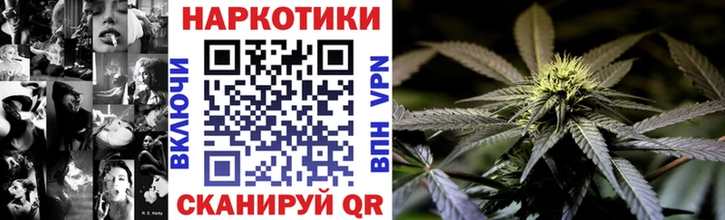 Галлюциногенные грибы Шали