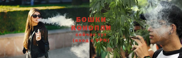 spice Пересвет