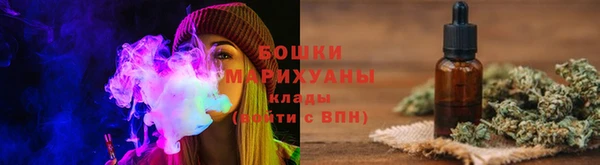 хмурый Ветлуга