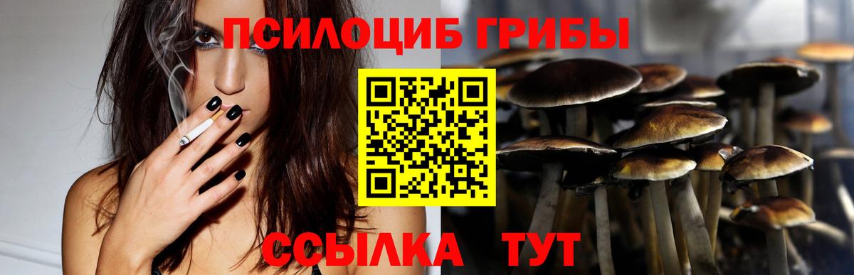 Псилоцибиновые грибы Psilocybine cubensis Шали